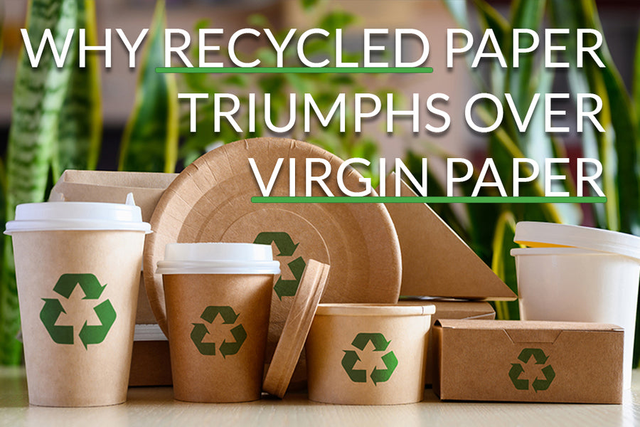 6 Compelling Reasons Why Recycled Paper Triumphs Over Virgin Paper